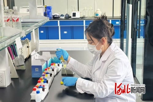 河北遵化 特色產(chǎn)業(yè)激活縣域經(jīng)濟發(fā)展新動能